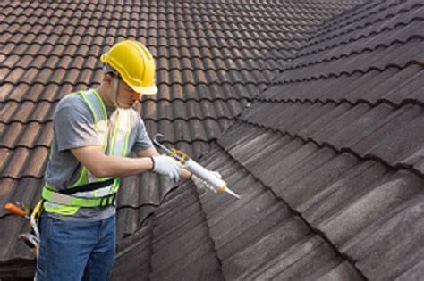 Best Roof Sealants for Leak Repairs in 2024: Reviews and Costs